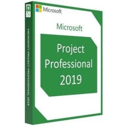 Project 2019 Professional 1Pc Key