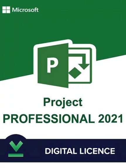 Project 2021 Professional 1Pc Key