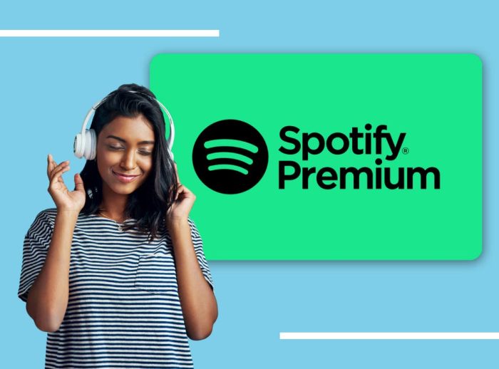 Buy Spotify Premium Music Streaming