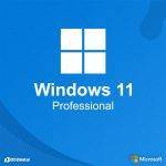 Windows 11 Professional For 1Pc/User - [Latest Edition]